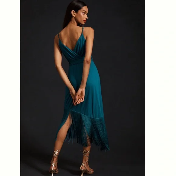 NWT Anthropologie Hutch Fringed-Hem True Wrap Dress size XS - Picture 4 of 11